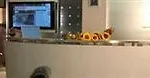Hotel Genty 4*